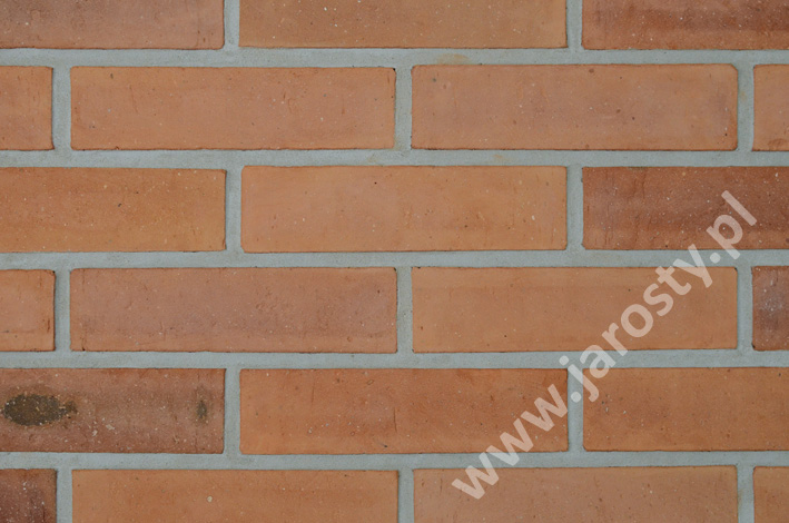 цагляны завод у Польшчы грубая кераміка абліцавальны фасадны цэгла вугальныя гарэлкі