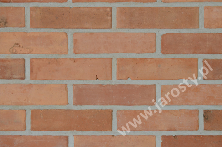 цагляны завод у Польшчы грубая кераміка абліцавальны фасадны цэгла вугальныя гарэлкі