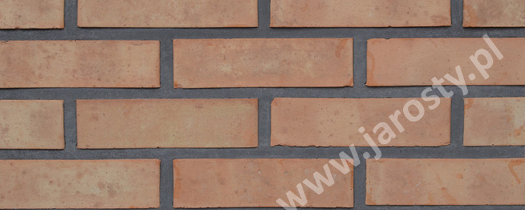 цагляны завод у Польшчы грубая кераміка абліцавальны фасадны цэгла вугальныя гарэлкі